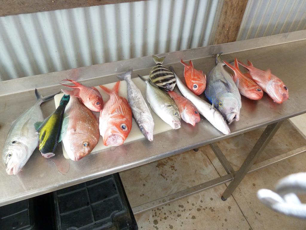 Seashells Penneshaw Villa Кингскоут Екстериор снимка